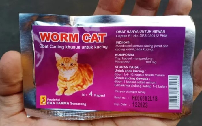 15 Cara Mengatasi Kucing Muntah Cacing Pakai Obat Alami terbaru